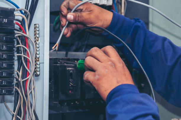 Best Ceiling Fan Installation Electrician  in St Augusta, MN